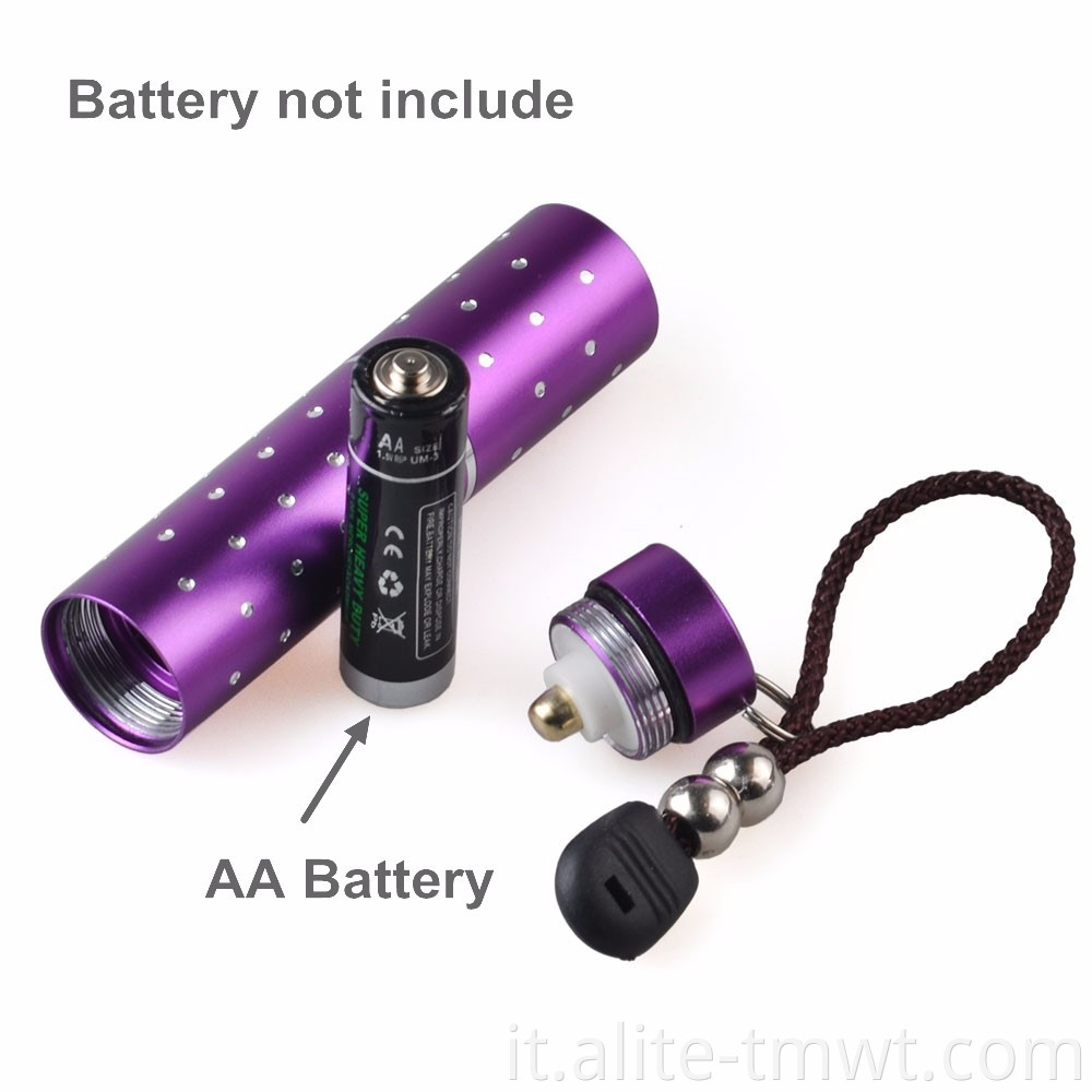 Torcia tascabile Mini Torcia Black Light LED LIGHT Purple Light 365nm UV